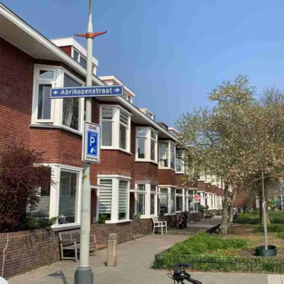 Abrikozenstraat Vruchtenbuurt The Hague