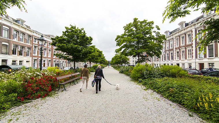 Walking the dog in Nassauplein The Hague