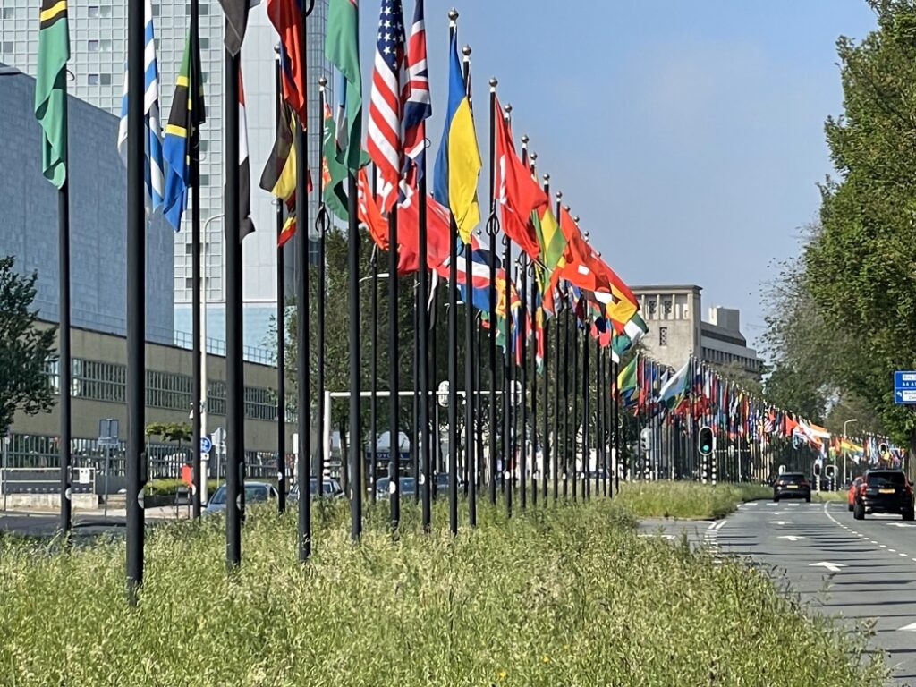 Flags in the Johan de Wittlaan The Hague